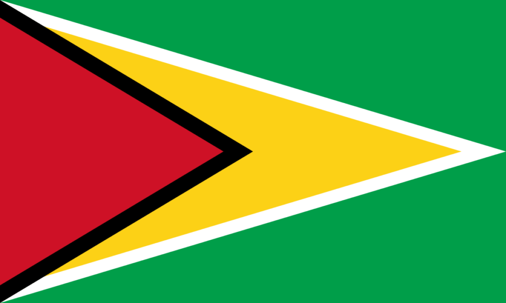 Flag of Guyana