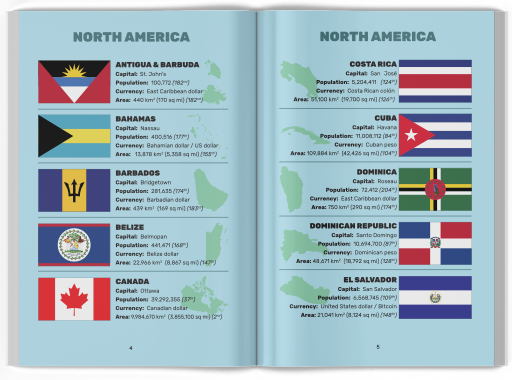 Inside of Pocket Guide to flags