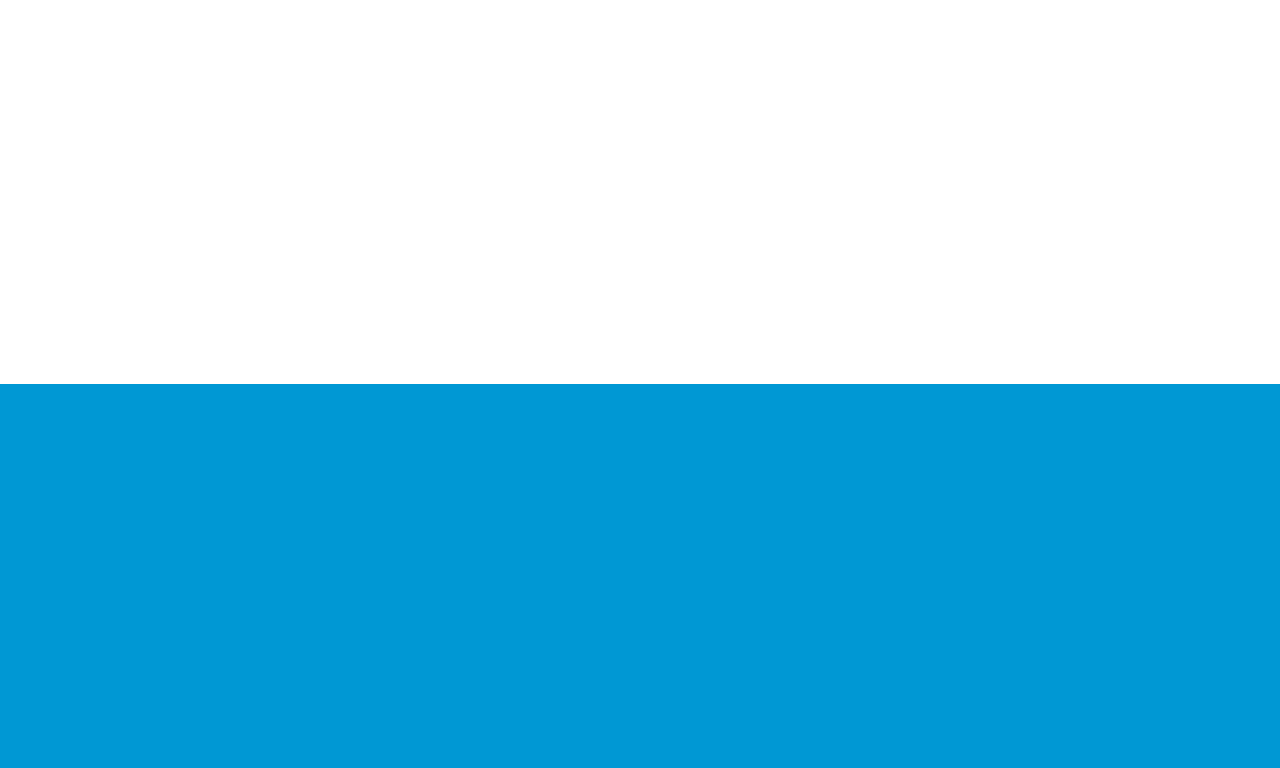 CIVIL & STATE Flag of Bavaria 1