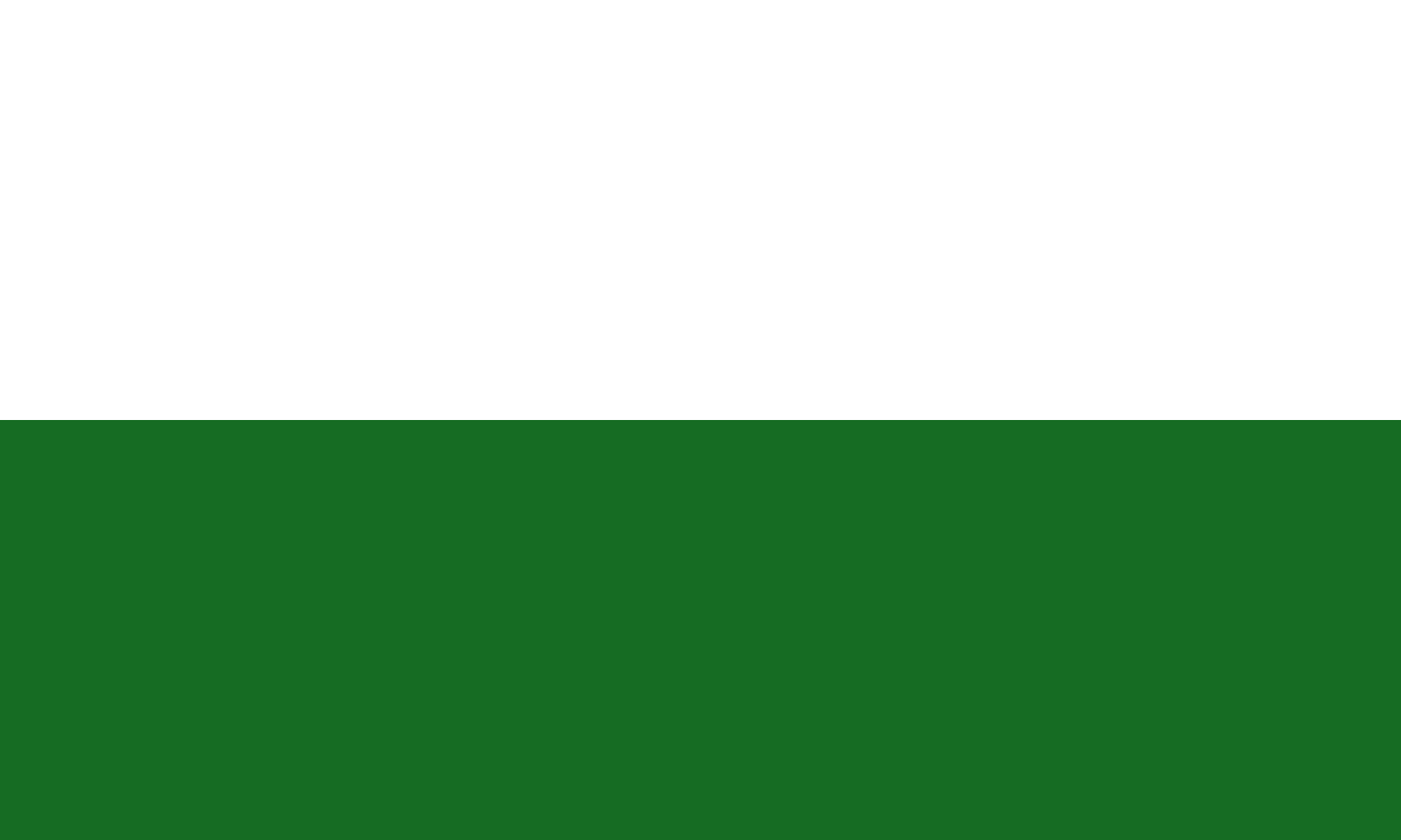 Civil flag of Saxony