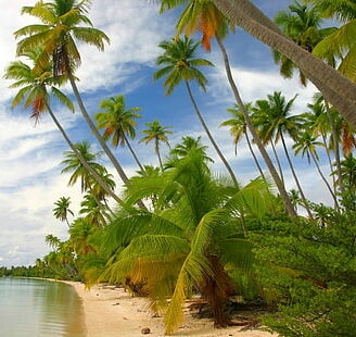 fiji islands
