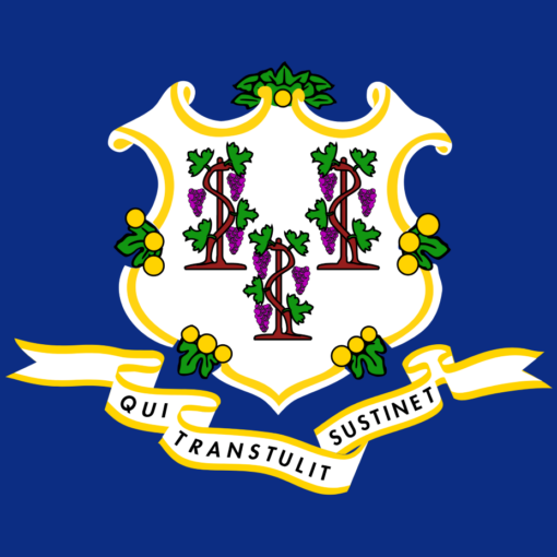 Connecticut United States of America Flag