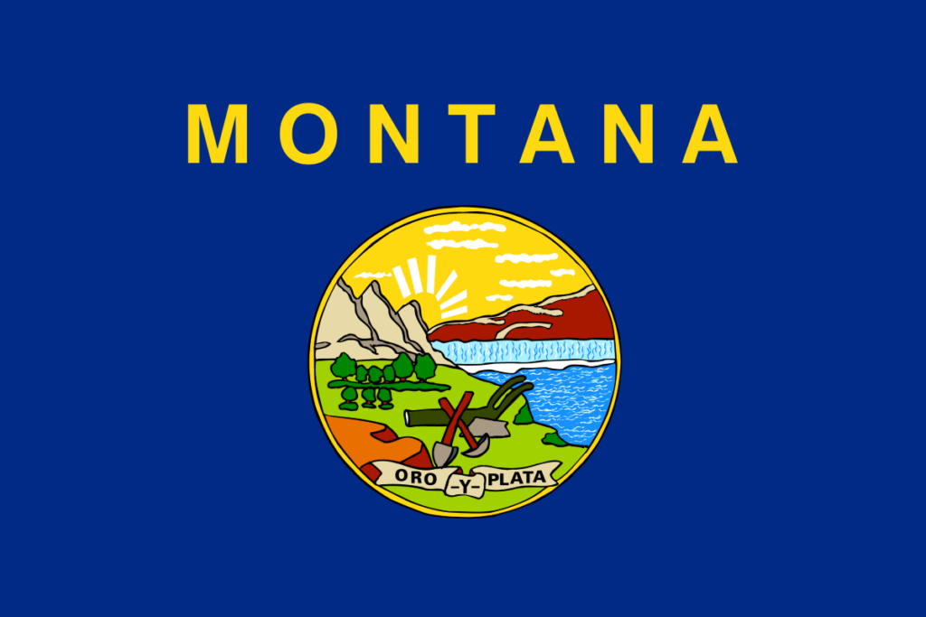 Montana United States of America Flag
