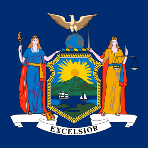 New York United States of America Flag