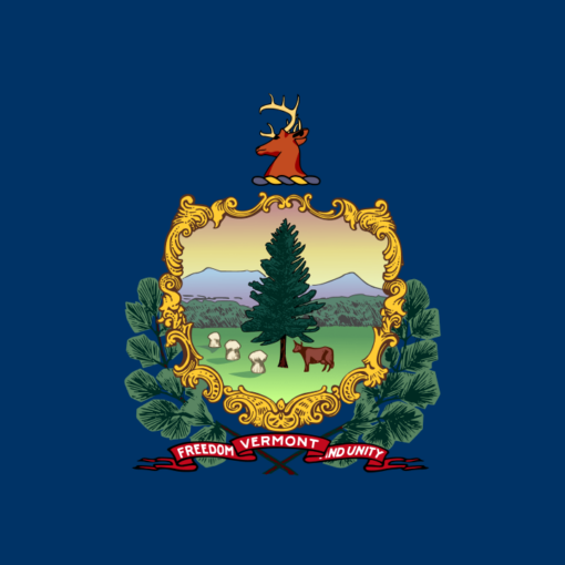 Vermont United States of America Flag