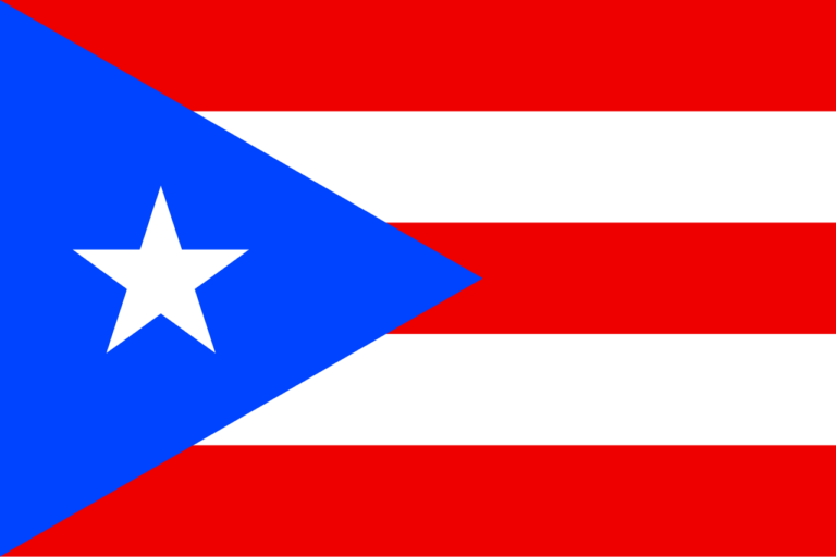 Flag of Puerto Rico Flagsbook