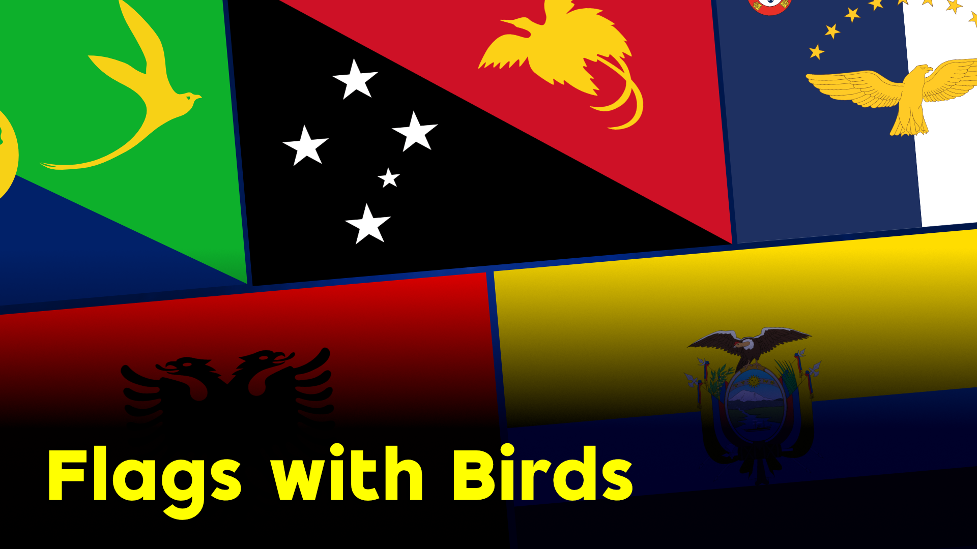 birds on flags